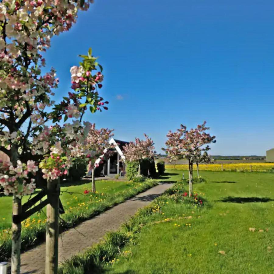 Hotelhuisje Warmenhuizen #C Dış mekan fotoğraf